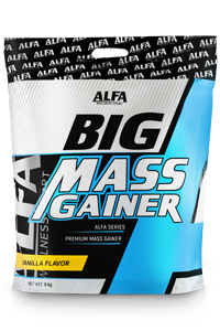 ביג מאס גיינר מארז גדול | BIG MASS GAINER