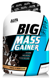 ביג מאס גיינר 4 ק״ג | BIG MASS GAINER
